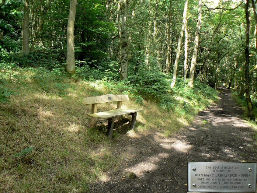 Halldale Wood Halldale Wood